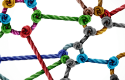 A 3d image of a network of colored ropes.